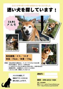 �����������{���Ă��܂��F�|�X�^�[